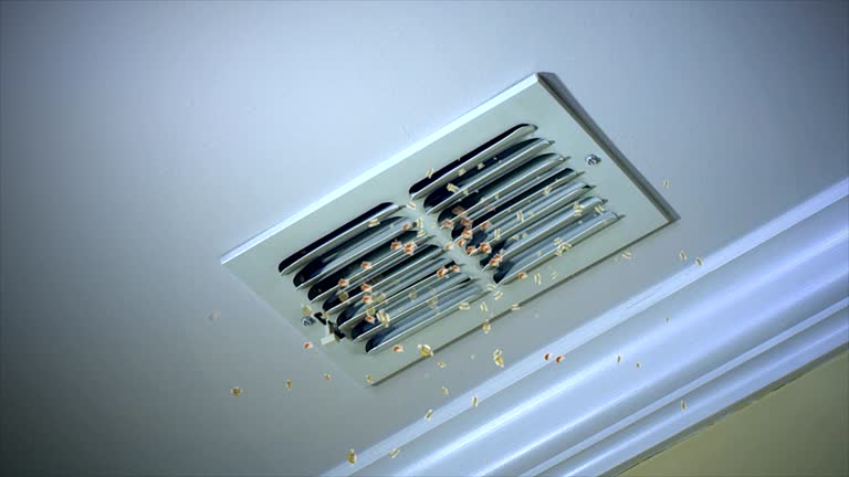 Best Dryer Vent Cleaning Services  in Lawndale, CA